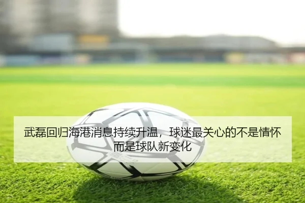 武磊回归海港消息持续升温，球迷最关心的不是情怀而是球队新变化
